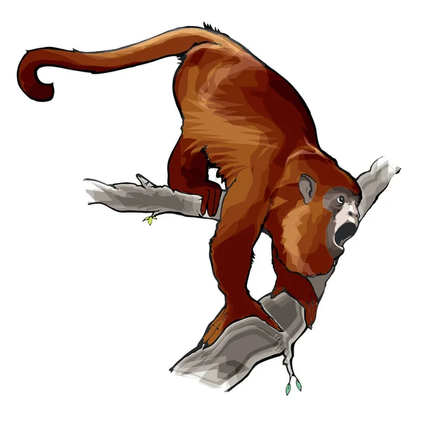 macaco louco de desenho animado 13548792 Vetor no Vecteezy