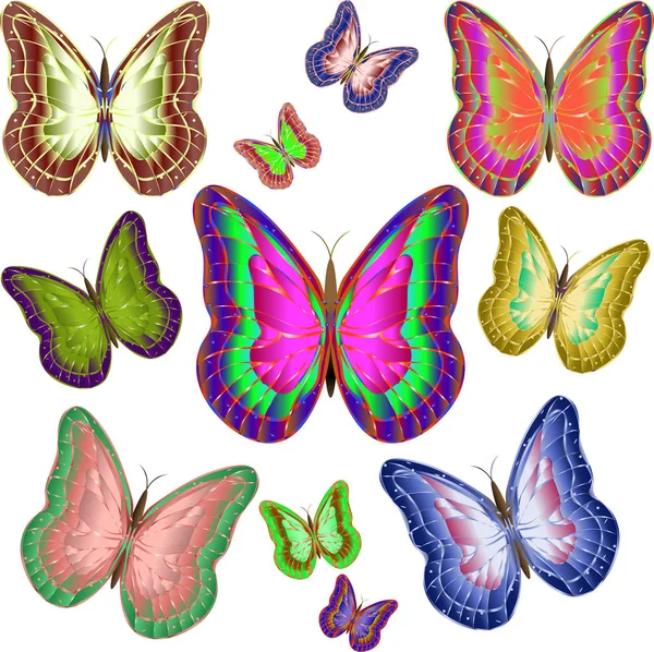 Mariposas Diferentes Mariposas Coloridas Brillantes Vector — Archivo Imágenes Vectoriales