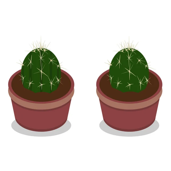 Dwa Małe Kaktusy Doniczki Ikona Kaktus Roślina Doniczkowa Wektor — Wektor stockowy