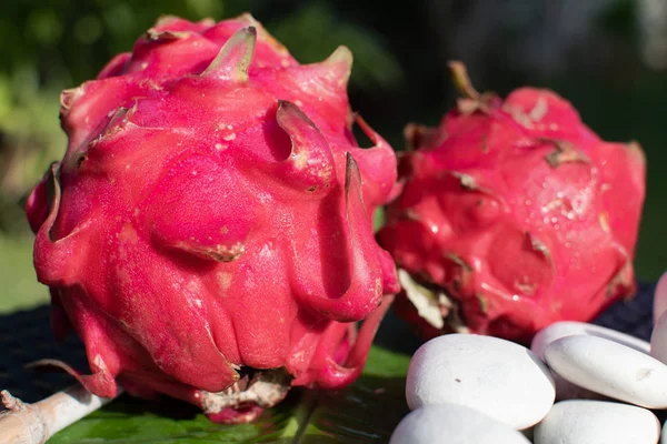Hermosa fruta fresca de dragón rojo pitaya en hoja verde con piedras —  Fotos de Stock
