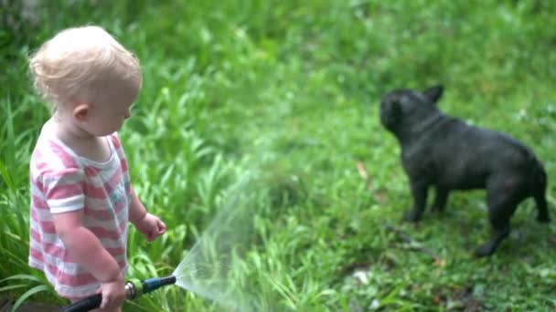 Niña Jugando Con Agua Jardín Con Perro — Vídeos de Stock