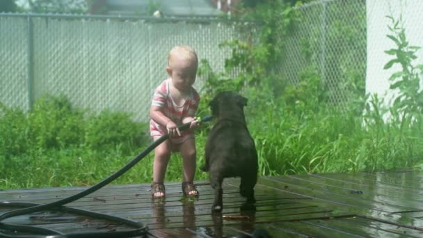 Menina Bebê Brincando Com Água Jardim Com Cão — Vídeo de Stock