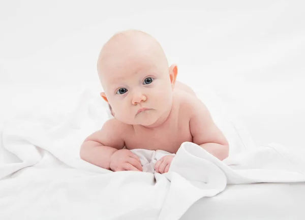 Baby Portret Witte Achtergrond — Stockfoto