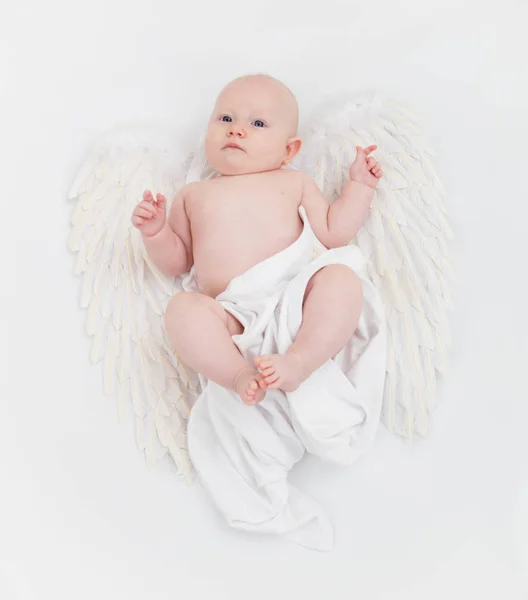 Beyaz Zemin Üzerinde Bebek Portre — Stok fotoğraf