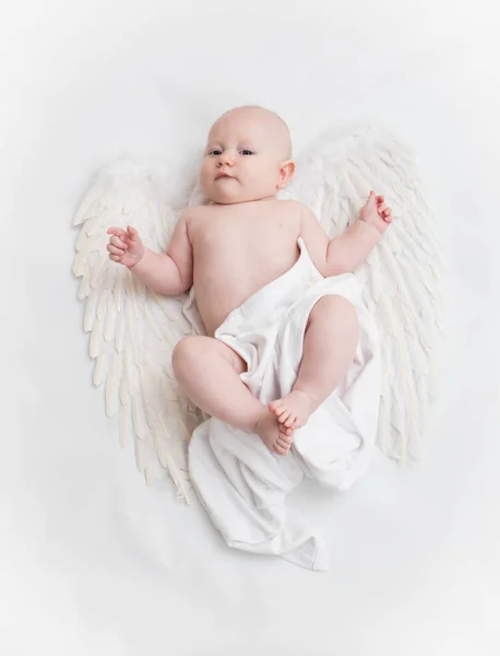 Beyaz Zemin Üzerinde Bebek Portre — Stok fotoğraf