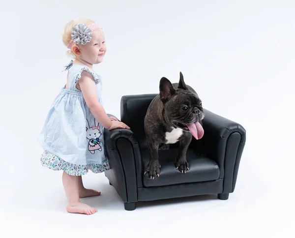 Portret Van Het Meisje Van Baby Hond — Stockfoto