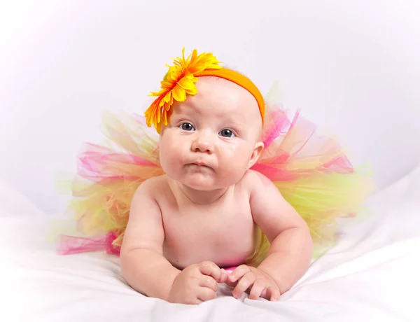 Portrait Little Baby White Background — Stock Photo, Image