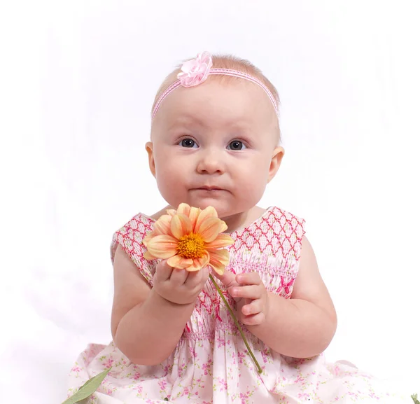 Portret Van Kleine Baby Witte Achtergrond — Stockfoto