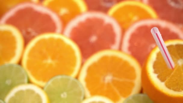 Orangen Grapefruit Und Andere Früchte Scheiben Geschnitten — Stockvideo