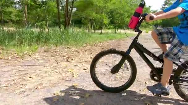 Criança Feliz Andar Bicicleta — Vídeo de Stock