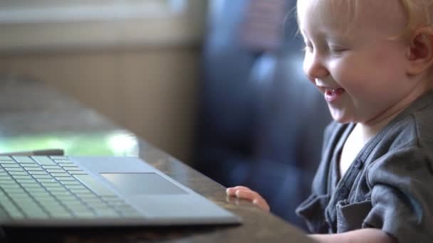 Pequeño Bebé Aprendiendo Usar Computadora Portátil — Vídeos de Stock