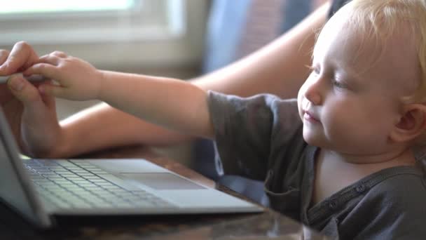 Pequeño Bebé Aprendiendo Usar Computadora Portátil — Vídeo de stock