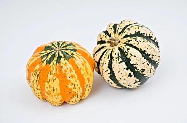 Pumpkin Selection Halloween — Stock Photo, Image