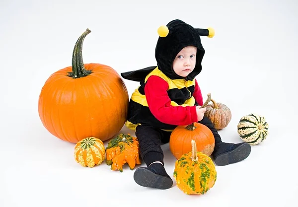 Baby Costume Pumpkins White Background — Stock Photo, Image