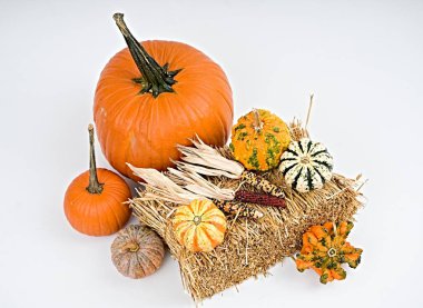 Beyaz arkaplanda renkli balkabakları                                