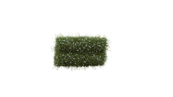 Alphabet Buchstabenwort Mit Gras Material Und Weißem Hintergrund — Stockfoto