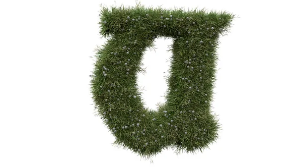 Alphabet Buchstabenwörter Mit Gras Und Weißem Hintergrund — Stockfoto