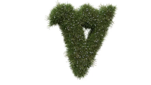 Alfabet Letter Woorden Met Gras Witte Achtergrond — Stockfoto