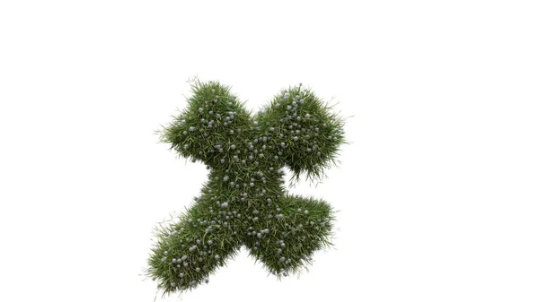 Alphabet Buchstabenwörter Mit Gras Und Weißem Hintergrund — Stockfoto