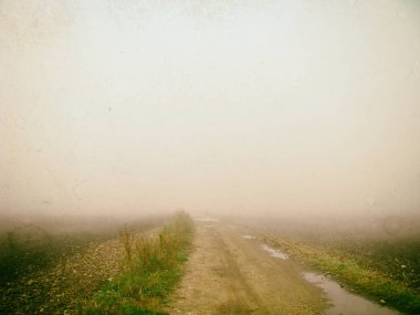 Sisin içinde köy yolu