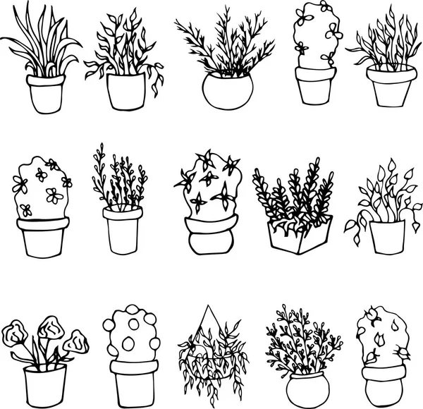 Ручной Рисунок Растений Растущих Pots Home Декорации Векторная Иллюстрация — стоковый вектор