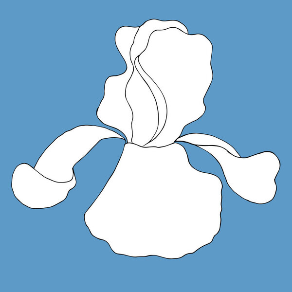 Цветок Айрис. Айрис Сибирика. Ручная рисованная векторная иллюстрация в стиле мультфильма, на синем фоне
.