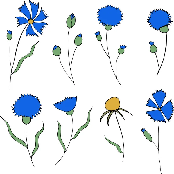 Голубые Кукурузные Цветы Листья Белом Фоне — стоковый вектор