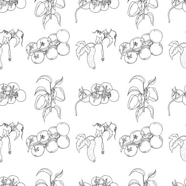 sebze seamless modeli. Salatalık, domates ve biber beyaz arka plan üzerinde izole