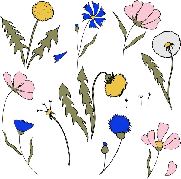 Bunga lapangan dengan gaya kartun. Vektor dandelion, bunga jagung dan bunga kosmos. Bunga botani liar. Bagus untuk kemasan teh, label, ikon, kartu ucapan, dekorasi - Stok Vektor