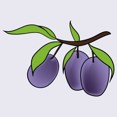El çizimi Erik karikatür tarzında çekilmiş. Menü, kart, tekstil, mevsimlik tasarım için mükemmel