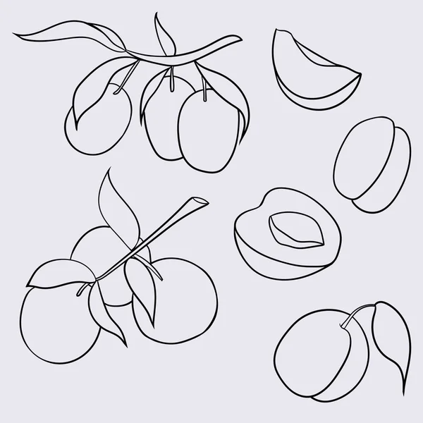 Hand dras illustration av plommon i tecknad stil. Perfekt för menyn, kort, textil, säsongsbetonade design — Stock vektor