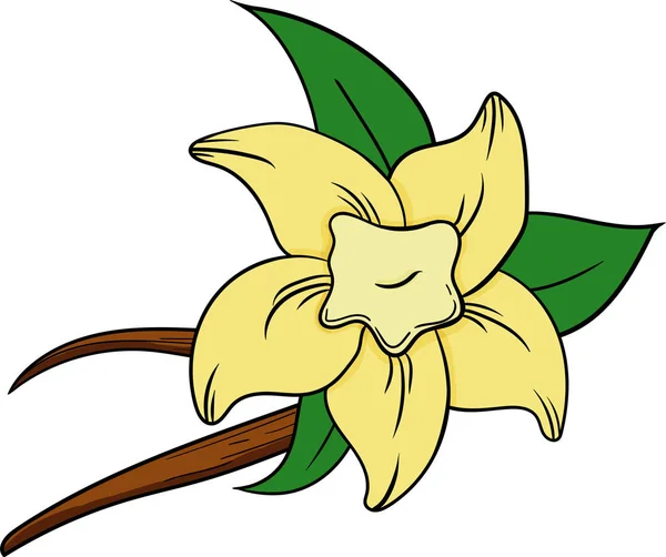 Vanilka v karikatuře stylu — Stockový vektor