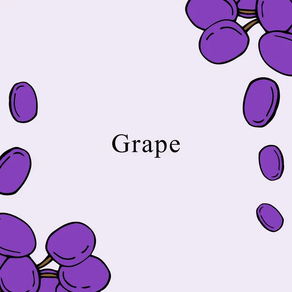 Druiven vector illustratie in cartoon stijl. Perfect voor menu, kaart, zak design — Stockvector