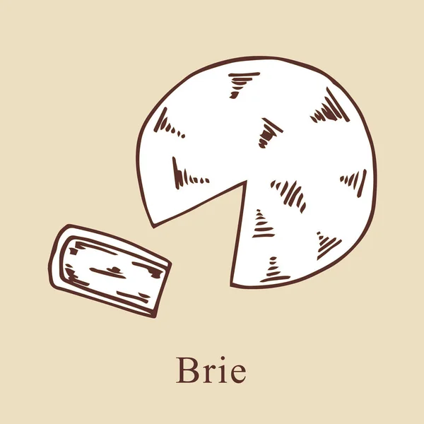 Brie ilustração vetorial em estilo cartoon. Perfeito para menu, cartão, design têxtil —  Vetores de Stock