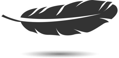 beyaz arkaplanda siyah tüy.