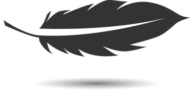 beyaz arkaplanda siyah tüy.