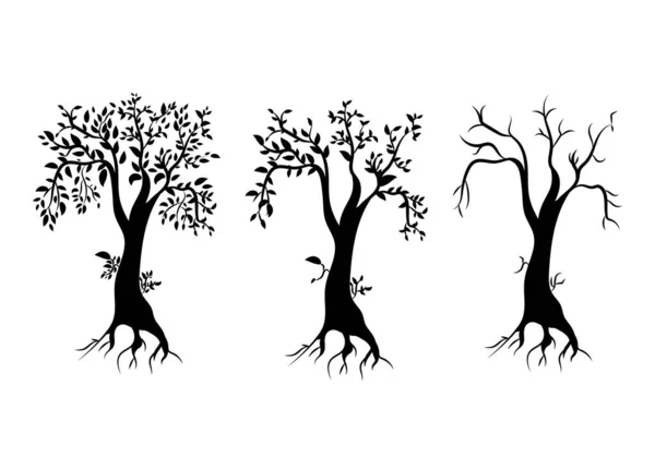 Siluetas de tres árboles sobre un fondo blanco . — Archivo Imágenes Vectoriales