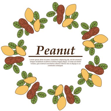 Karikatür tarzında Vektör fıstık logosu. beyaz arka plan üzerinde izole tasarım ve web için illüstrasyon.