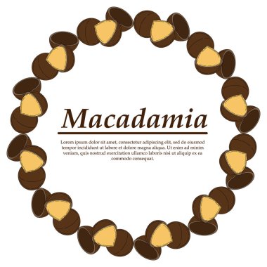 Karikatür tarzında Vektör macadamia logosu.