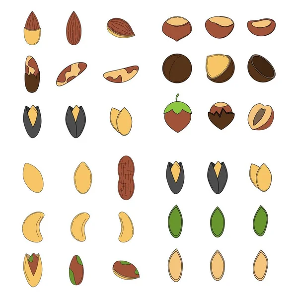 Conjunto de nueces en estilo de dibujos animados. iconos para el diseño — Vector de stock