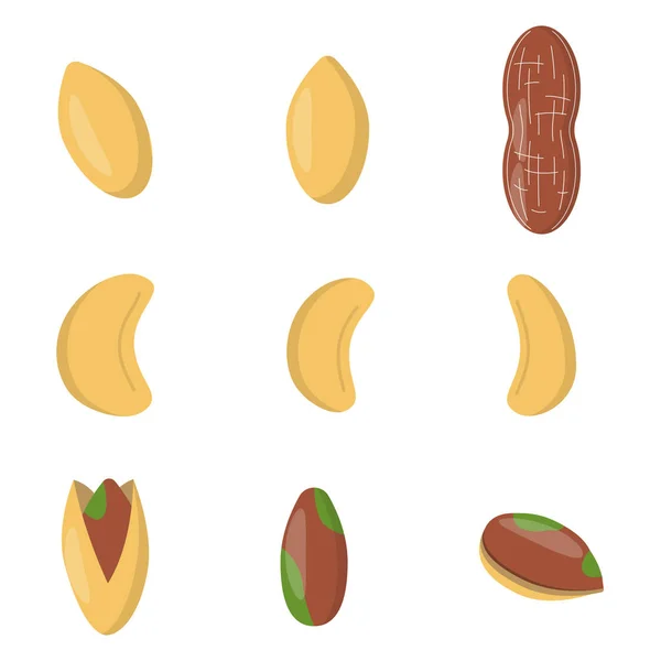 Set of nuts in flat style. — Stock Vector