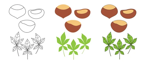 Conjunto de castañas en tres estilos — Archivo Imágenes Vectoriales