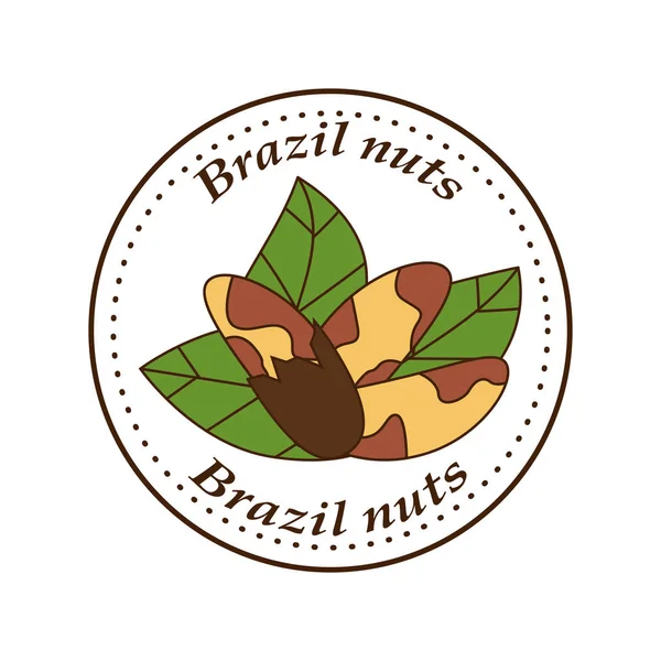 矢量巴西坚果标志在卡通风格. — 图库矢量图片