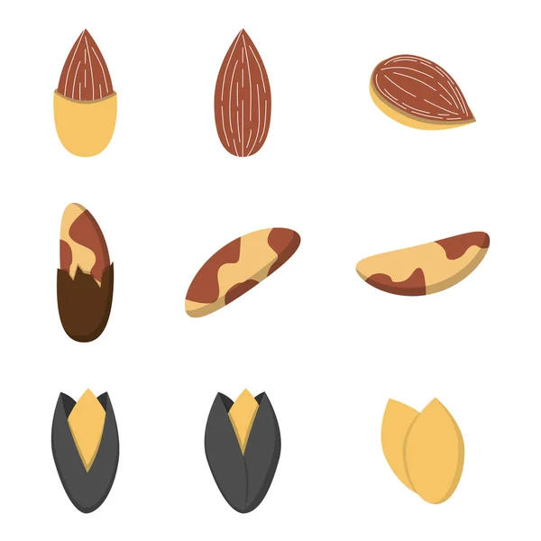 Set of nuts in flat style. — Stock Vector