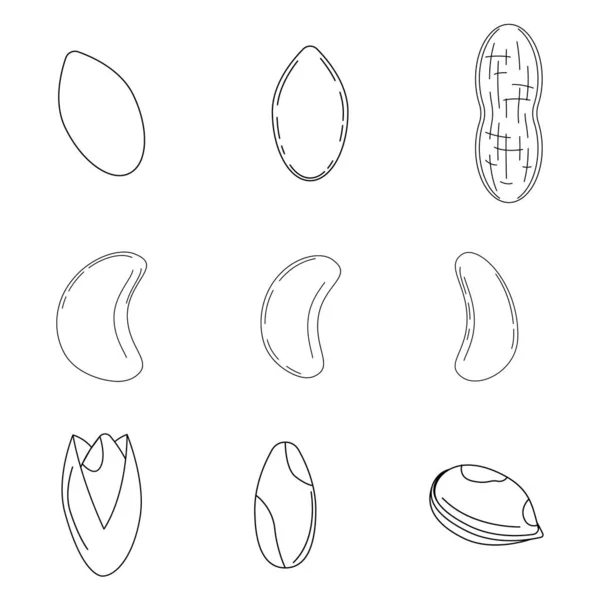 Набор орехов в стиле наброска . — стоковый вектор