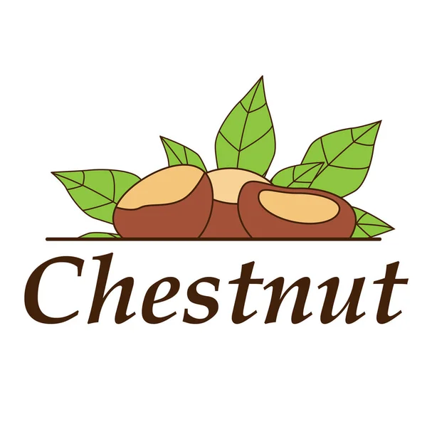 Vektor Chestnut logotyp i tecknad stil. — Stock vektor