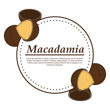 Karikatür tarzında Vektör macadamia logosu. 