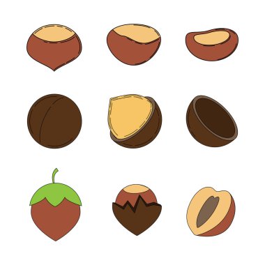 Çizgi film tarzında fındık seti. 