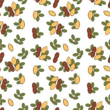 Karikatür tarzında fıstık Dikişsiz desen