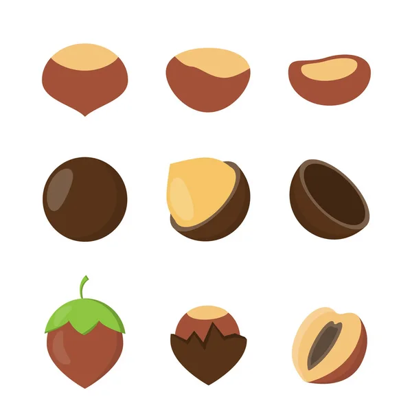 Set of nuts in flat style. — Stock Vector